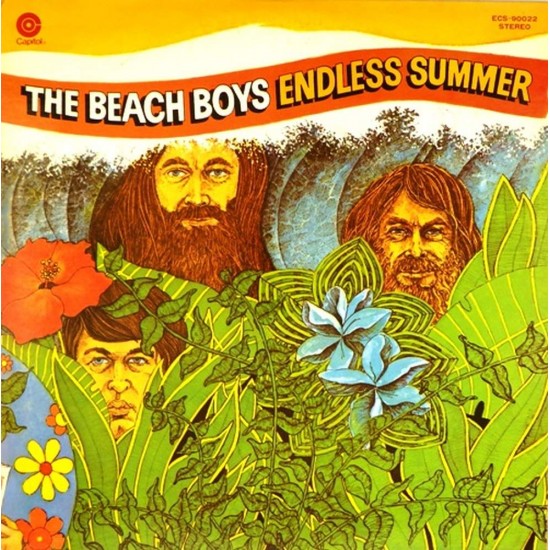 Пластинка Beach boys Endless summer